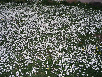 Ihnen allen frohe Ostern